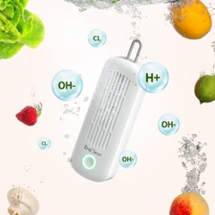 Máy rửa rau củ quả, thực phẩm mini Eraclean GFC11