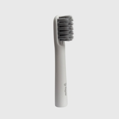 Đầu bàn chải thay thế cho bàn chải điện ILV T100 (1 chiếc)