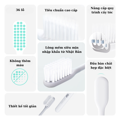 Bàn chải đánh răng Dr.Bei phiên bản dành cho giới trẻ