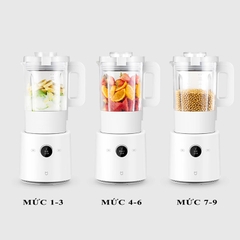 Máy làm sữa hạt Xiaomi Mijia MPBJ001ACM 1.6L 800W