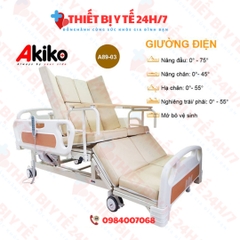 Giường bệnh nhân đa chức năng điều khiển bằng điện Akiko A89-03