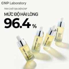 Tinh Chất Keo Ong CNP Laboratory Propolis Energy Active Ampule