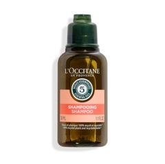 [Mini 35ml] Dầu Gội Phục Hồi Tóc Khô & Hư Tổn L'Occitane Intensive Repair Shampoo