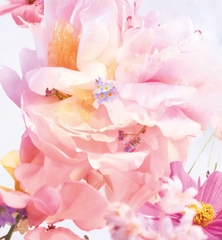 [Mini 5ml] Nước Hoa Miss Dior Blooming Bouquet EDT
