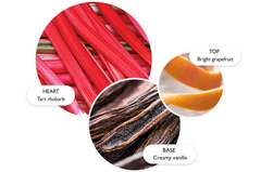 Sữa Tắm Molton Brown Delicious Rhubarb & Rose Bath Shower Gel