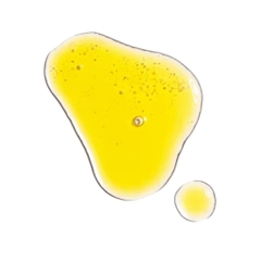 Tinh Dầu Cấp Ẩm Dưỡng Sáng The Ordinary 100% Organic Cold Pressed Rosehip Seed Oil 30ml