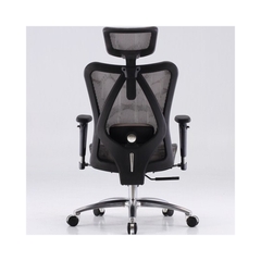 Ghế Công Thái Học Ergonomic Sihoo M57-N102 - Black Frame Grey Mesh