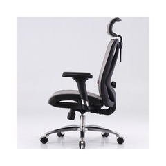 Ghế Công Thái Học Ergonomic Sihoo M57-N102 - Black Frame Grey Mesh