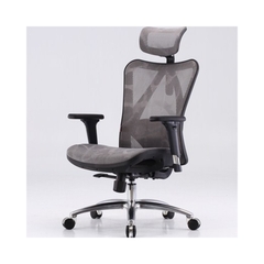 Ghế Công Thái Học Ergonomic Sihoo M57-N102 - Black Frame Grey Mesh