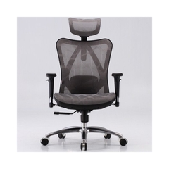 Ghế Công Thái Học Ergonomic Sihoo M57-N102 - Black Frame Grey Mesh