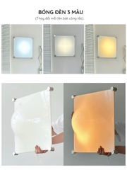 Đèn tường, đèn trần acrylic hình giọt nước, đèn nghệ thuật Bolla trang trí nhà cửa, studio,..- DTB04
