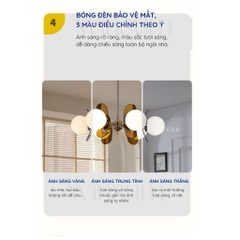 Đèm chùm phòng khách acrylic style Bắc Âu, đèn thả bàn ăn sang trọng - DCB02