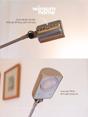 Đèn sàn Lumina Dalphine