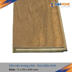 Sàn gỗ biến tính BT01