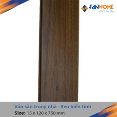 Sàn gỗ biến tính BT04