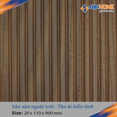 Sàn gỗ biến tính BT06