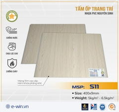Tấm ốp Nano ngôi sao Ewin S11