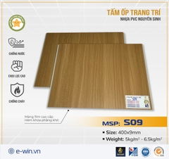 Tấm ốp Nano ngôi sao Ewin S09