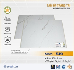 Tấm ốp Nano ngôi sao Ewin S19