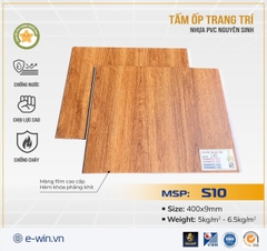 Tấm ốp Nano ngôi sao Ewin S10