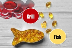 Dầu nhuyễn thể Omega 3 và dầu cá Omega 3: Nên chọn loại nào tốt hơn?