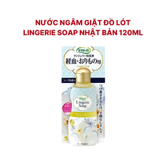 Nước Ngâm Giặt Quần Chip Lingerie Soap 120ml