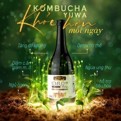Nước uống lên men hỗ trợ giảm cân - làm đẹp da Kombucha 720ml - Nhật Bản