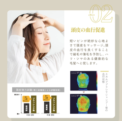 Lược Thần Kỳ Phiên Bản Mới, Brashu Revo, Dưỡng Tóc, Trẻ Hóa Da, Massage hệ bạch huyết Của Dr. Artistic