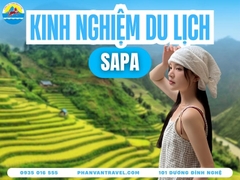 Kinh Nghiệm Du Lịch Sapa 2026: Đi Tự Túc Hay Đi Tour Giá Rẻ?
