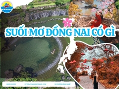 Khu Du Lịch Suối Mơ Đồng Nai Có Gì Hấp Dẫn? Cẩm Nang Trải Nghiệm 2025