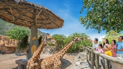 Combo Safari & VinWonders Vé vào cửa tiêu chuẩn người địa phương