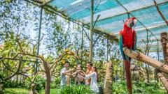 Combo Vé + Buffet VinWonders Nam Hội An Ưu Đãi Cho Người Địa Phương