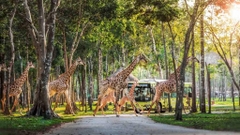 [COMBO VÉ] Vinpearl Safari + VinWonders Phú Quốc Tặng Food voucher