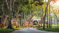 [COMBO VÉ] Vinpearl Safari + VinWonders Phú Quốc Tặng Food voucher