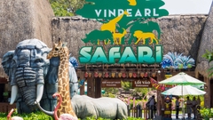 Combo Vinwonders - Safari - Bảo tàng gấu trong HAI NGÀY ra vào cửa KHÔNG GIỚI HẠN