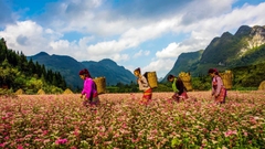 Đà Nẵng - Hà Giang - Đồng Văn - Lũng Cú