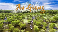 ĐÀ NẴNG - HỒ CHÍ MINH - AN GIANG