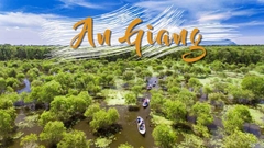 ĐÀ NẴNG - HỒ CHÍ MINH - AN GIANG