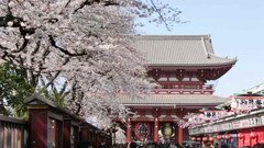 Đà Nẵng - Nhật Bản 6N5Đ