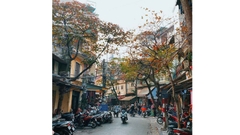 Đà Nẵng - Sapa - Fansipan - Cát Cát (Bao cáp, Không buffet)