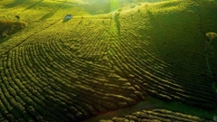 ĐÀ NẴNG - SƠN LA - ĐIỆN BIÊN