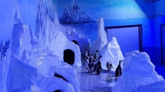 Vinke Aquarium vé vào cửa Thủy Cung Times City trong tuần