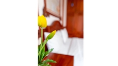 Phòng Đôi Tiêu Chuẩn