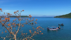 Tour Ghép Cù Lao Chàm Đón Cảng Khách Quốc Tế