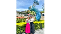 Sơn Trà - Núi Thần Tài - Du Thuyền Sông Hàn - VINPEARL Nam Hội An - Rừng Dừa - Hội An - Bà Nà