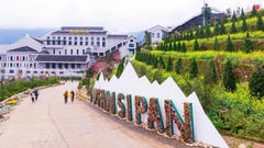 Combo cáp treo FSP và Buffet (Vào trực tiếp mã QR)