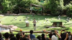 Vin Safari Admission Ticket + Tặng Food Voucher