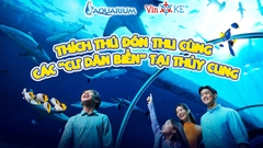 Vinke Aquarium Combo vé Thủy Cung và khu vui chơi mỗi khu 1 lần trong cùng 1 ngày (Cuối tuần)