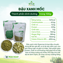 Đậu xanh mốc (đậu xanh tiêu) Myanmar 500g - Tỉ lệ nãy mầm cao - Chuyên làm giá đỗ
