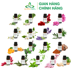 Tinh dầu hoa nhài/ hoa lài Jasmine 10ml (Việt Nam)